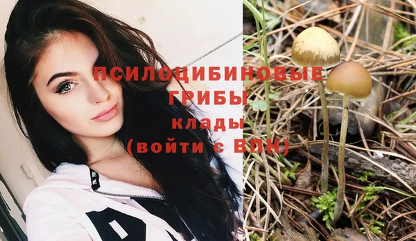 MESCALINE Иннополис